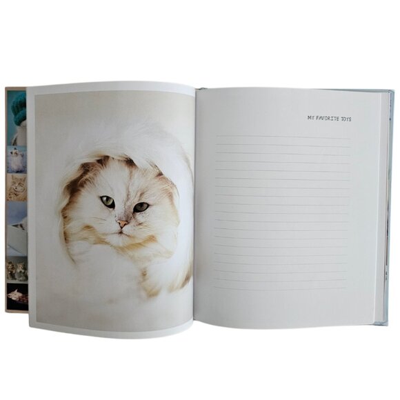 My Cat Record Book By Rachael Hale | Hardcover | NWT | Brown Red - Picture 9 of 16